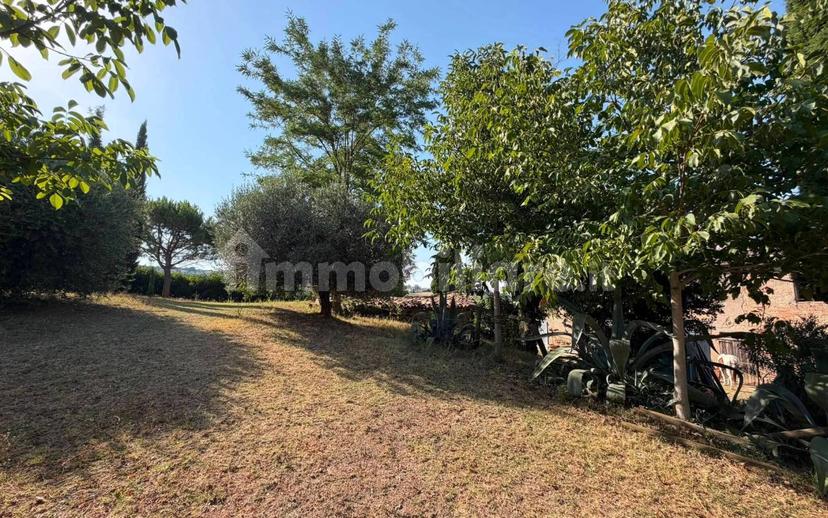 Casale via delle Motte, Bertinoro — foto 6 di 13