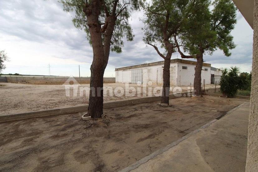 Villa unifamiliare Strada Provinciale Orimini Mutata Grottaglie, Grottaglie — foto 49 di 93