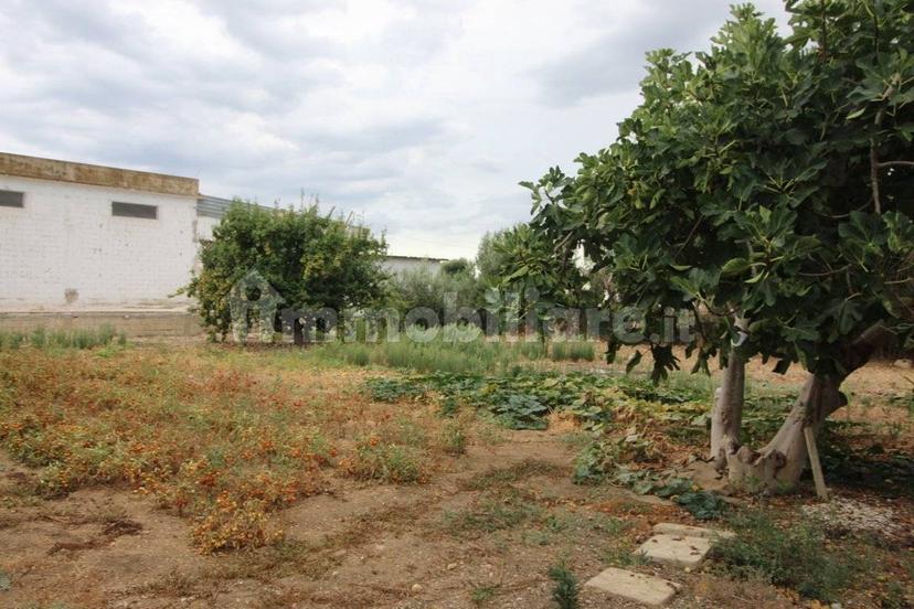 Villa unifamiliare Strada Provinciale Orimini Mutata Grottaglie, Grottaglie — foto 60 di 93