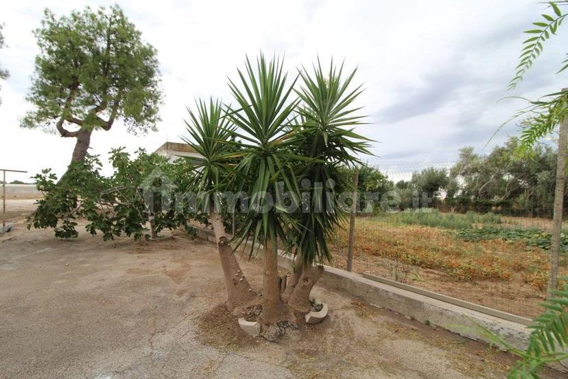 Villa unifamiliare Strada Provinciale Orimini Mutata Grottaglie, Grottaglie — foto 52 di 93