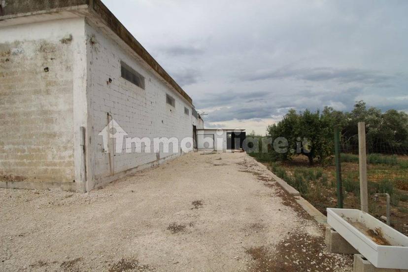 Villa unifamiliare Strada Provinciale Orimini Mutata Grottaglie, Grottaglie — foto 23 di 93