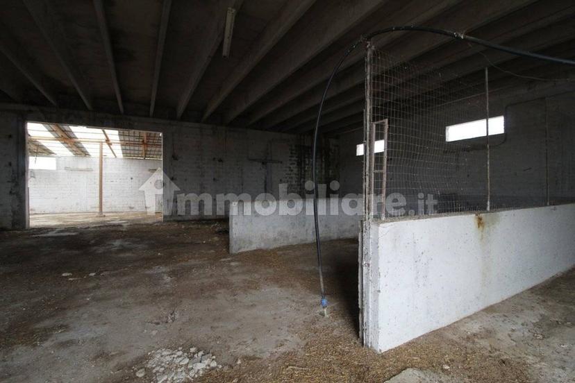 Villa unifamiliare Strada Provinciale Orimini Mutata Grottaglie, Grottaglie — foto 68 di 93