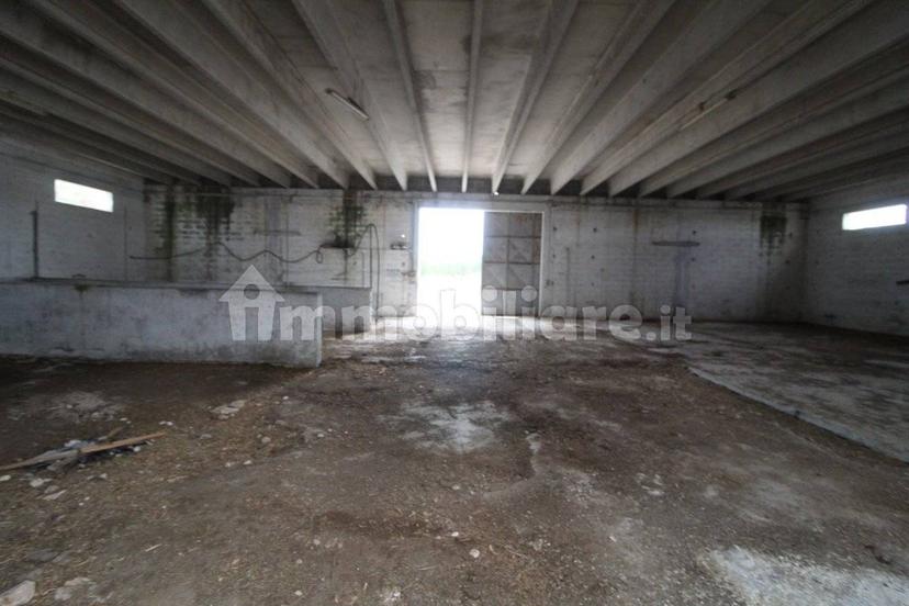Villa unifamiliare Strada Provinciale Orimini Mutata Grottaglie, Grottaglie — foto 67 di 93