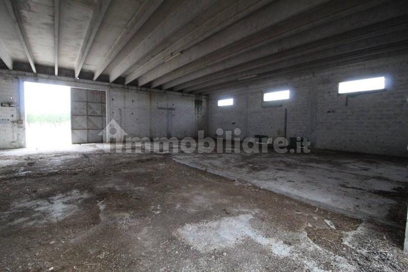 Villa unifamiliare Strada Provinciale Orimini Mutata Grottaglie, Grottaglie — foto 51 di 93