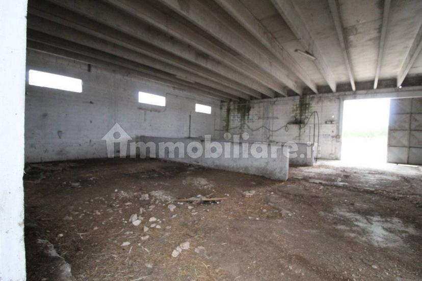 Villa unifamiliare Strada Provinciale Orimini Mutata Grottaglie, Grottaglie — foto 41 di 93
