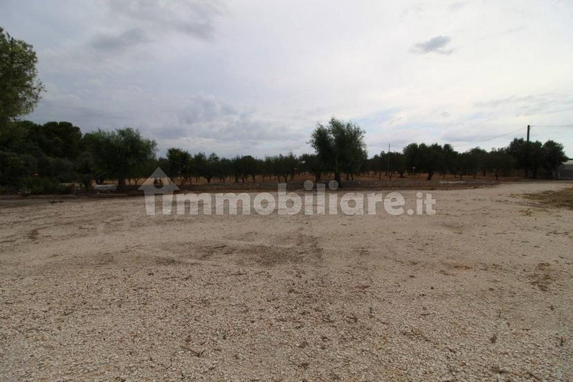 Villa unifamiliare Strada Provinciale Orimini Mutata Grottaglie, Grottaglie — foto 81 di 93