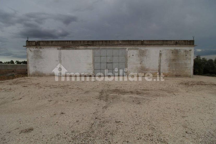 Villa unifamiliare Strada Provinciale Orimini Mutata Grottaglie, Grottaglie — foto 35 di 93
