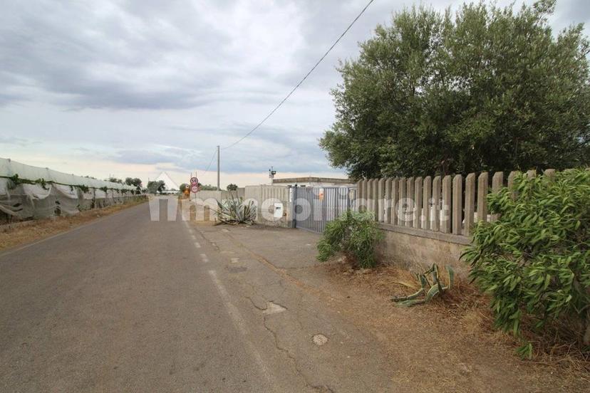 Villa unifamiliare Strada Provinciale Orimini Mutata Grottaglie, Grottaglie — foto 44 di 93