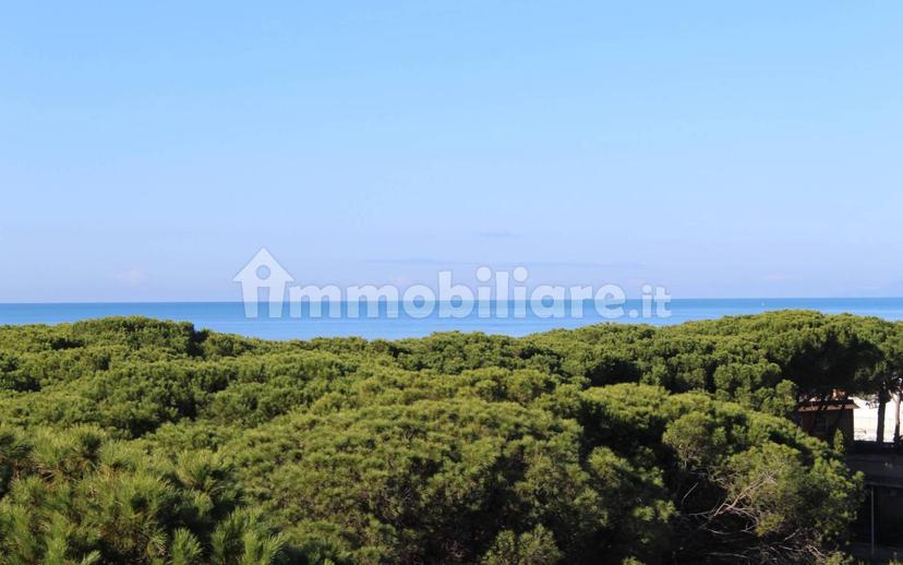 Trilocale Strada Provinciale Porto Clementino, Lido di Tarquinia, Tarquinia — foto 26 di 33