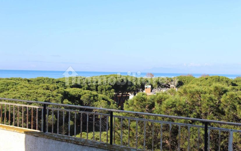 Trilocale Strada Provinciale Porto Clementino, Lido di Tarquinia, Tarquinia — foto 7 di 33