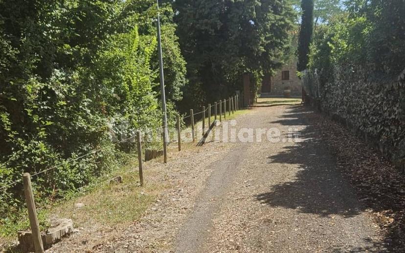 Casale via Roma, Centro, Cinigiano — foto 11 di 12