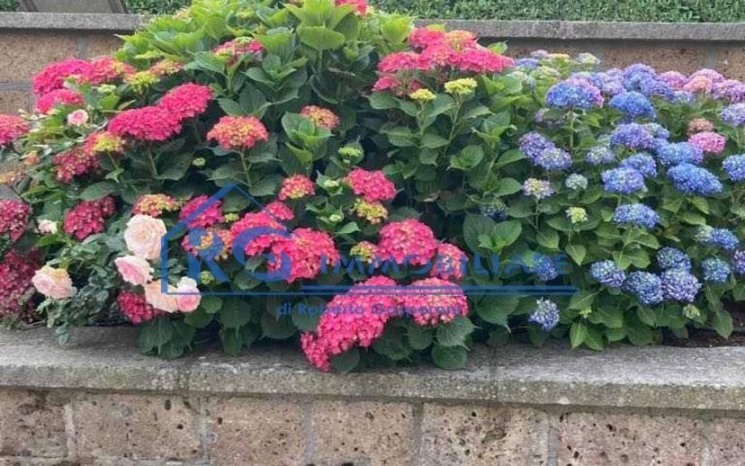Casale Località Vallefalsetta, Bagnoregio — foto 38 di 68