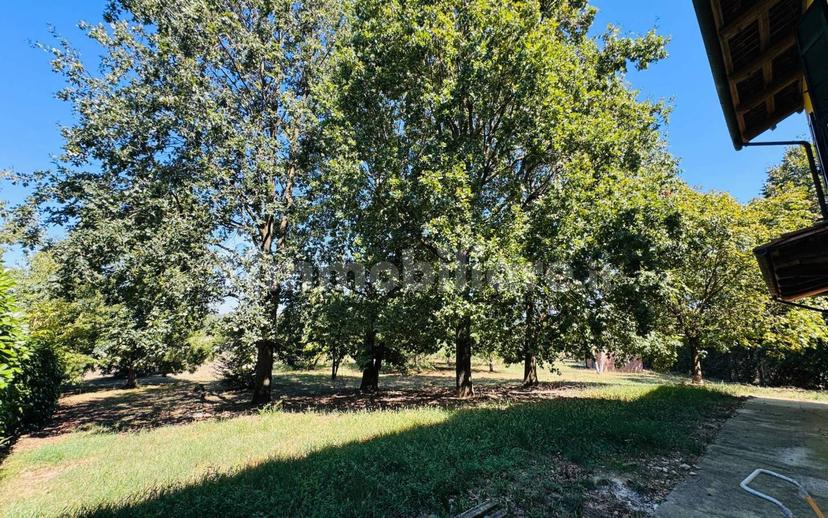 Casale Strada Castelletto, Bra — foto 10 di 34