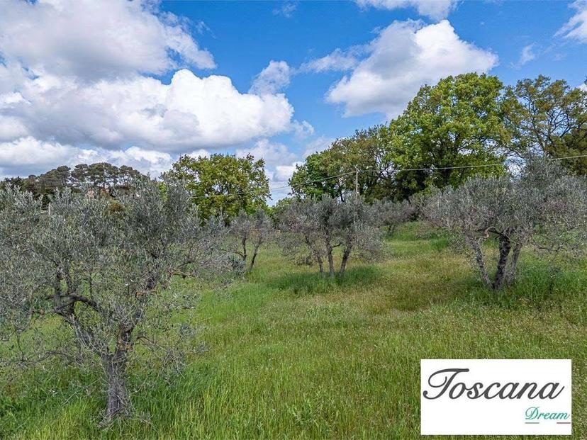 Rustico strada comunale del palagetto, 66, Pomarance — foto 7 di 34