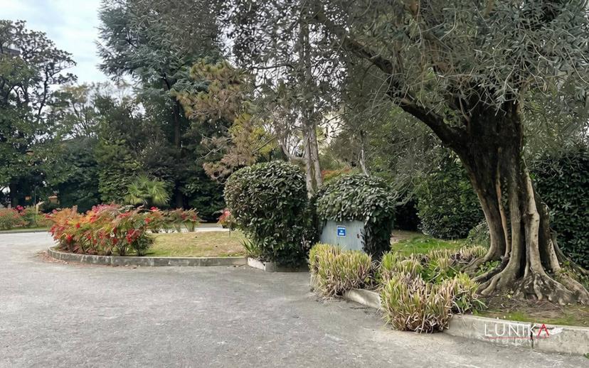 Quadrilocale via Pietro Paleocapa 1, Sant'Antonino - Ospedale, Treviso — foto 19 di 34