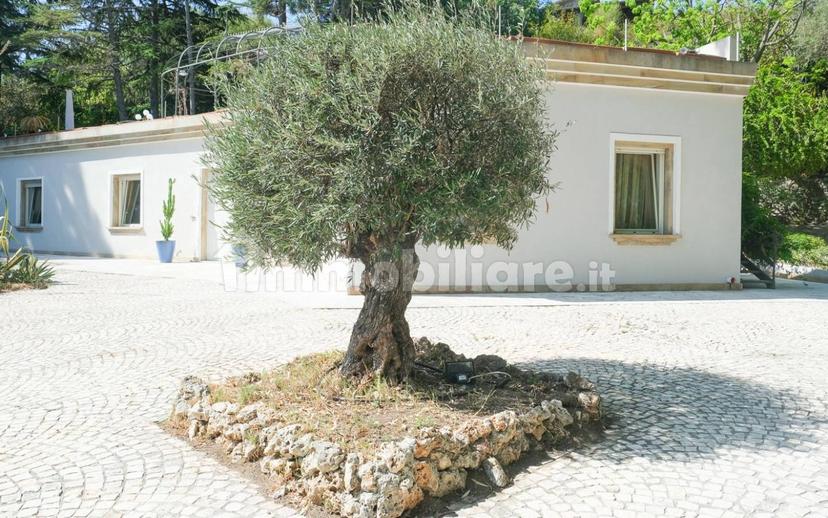 Villa unifamiliare via Bevaceto, 58, Capo Milazzo, Milazzo — foto 19 di 42