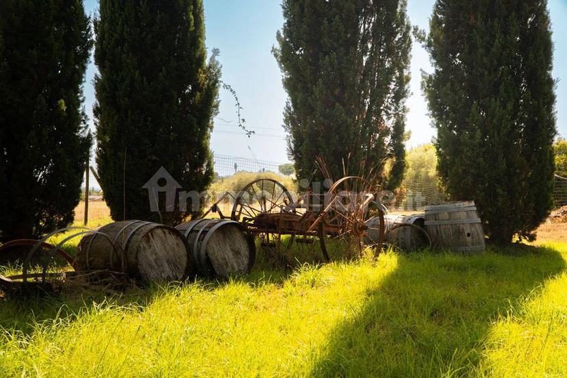 Villa unifamiliare via della Villana 188, Rosignano Solvay, Rosignano Marittimo — foto 47 di 51