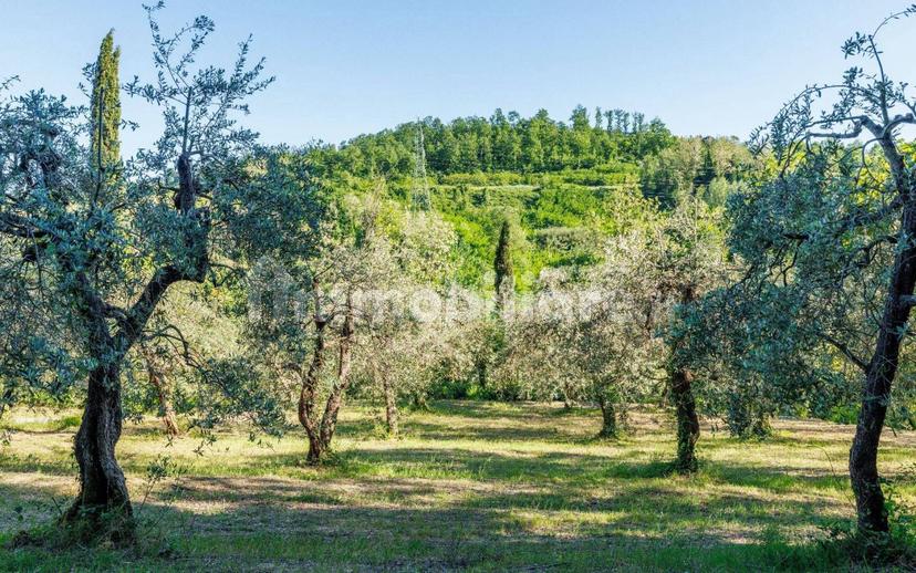 Villa bifamiliare via di Valle 19, Montecastello, Treggiaia, I Fabbri, Pontedera — foto 13 di 20