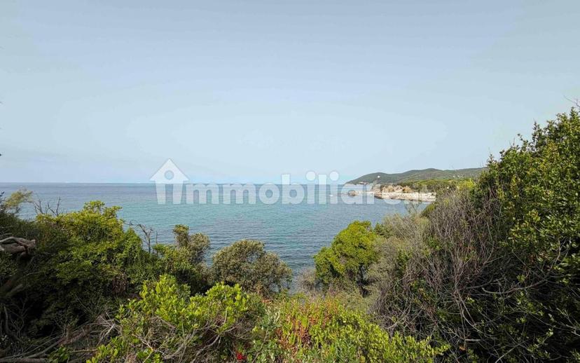 Villa bifamiliare Strada Provinciale Vecchia Aurelia 1195, Chioma, Nibbiaia, Rosignano Marittimo — foto 8 di 17