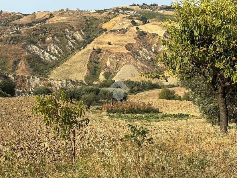 Terratetto plurifamiliare via Cavalieri 1, Atri — foto 26 di 40