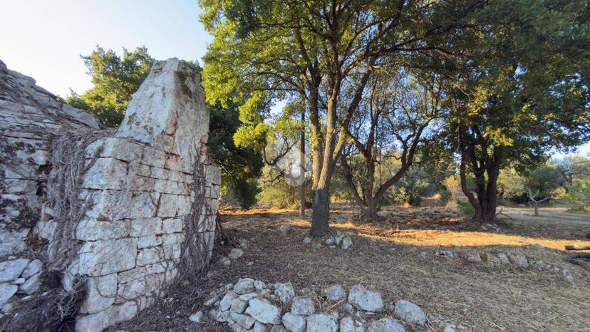Rustico Contrada Palazzo, Ceglie Messapica — foto 23 di 30