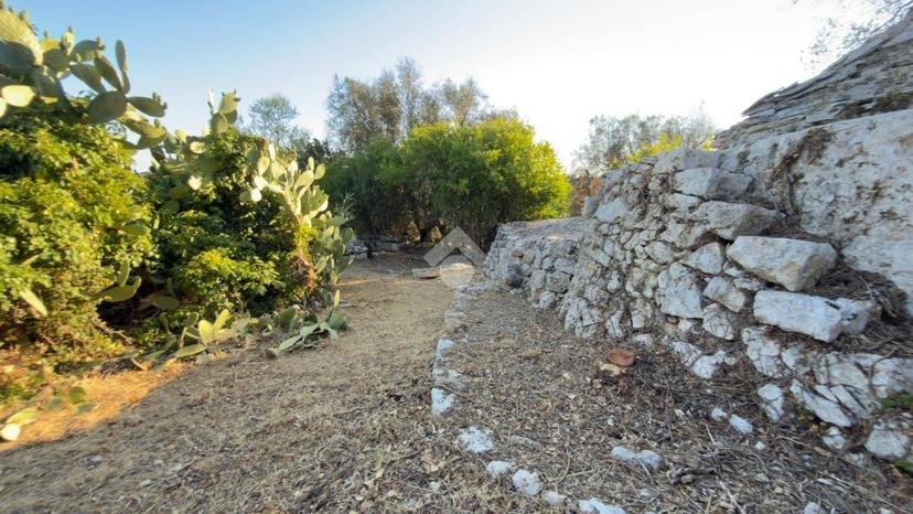 Rustico Contrada Palazzo, Ceglie Messapica — foto 8 di 30