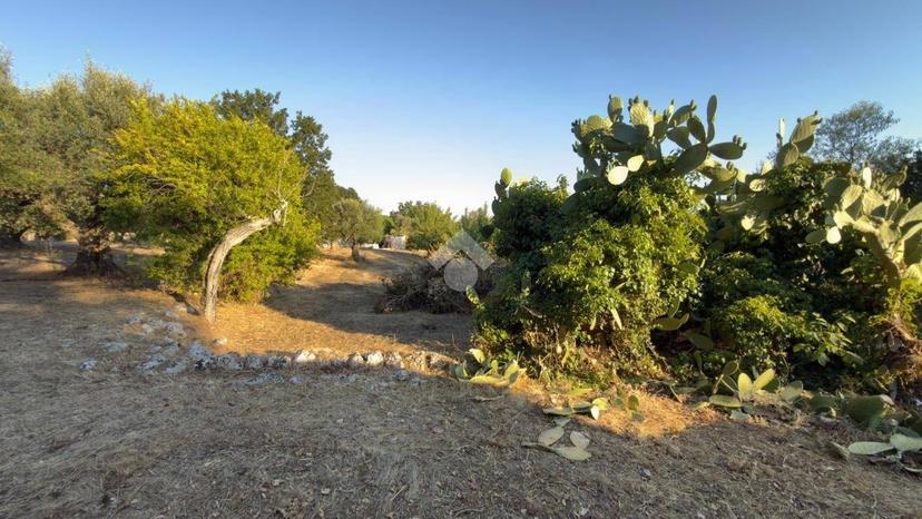 Rustico Contrada Palazzo, Ceglie Messapica — foto 19 di 30