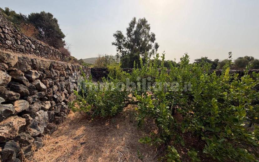 Villa unifamiliare via Nikà snc, Pantelleria — foto 63 di 93
