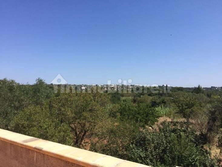 Villa unifamiliare Contrada Pisciacalze, Ceglie Messapica — foto 12 di 32