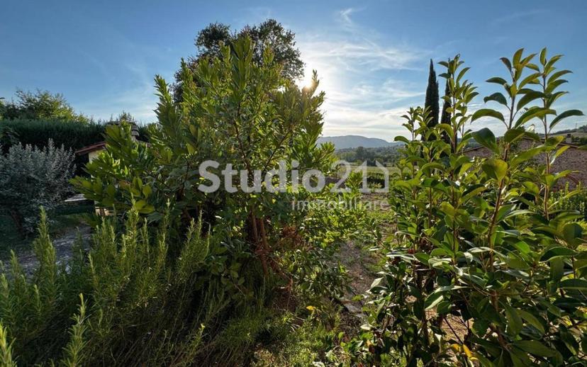 Villa unifamiliare via del vecchietto, Castelfranco Piandisco — foto 10 di 34