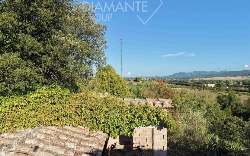 Casa colonica, buono stato, 230 m², Vescovado, Murlo — foto 21 di 26