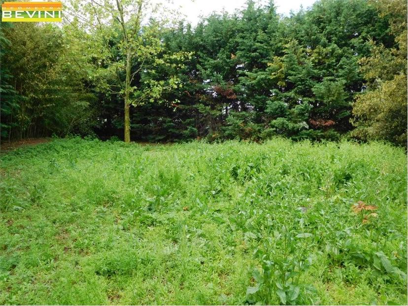 Villa unifamiliare via Scolo Formella, 15, Santo Stefano - Gambellara, Ravenna — foto 6 di 88