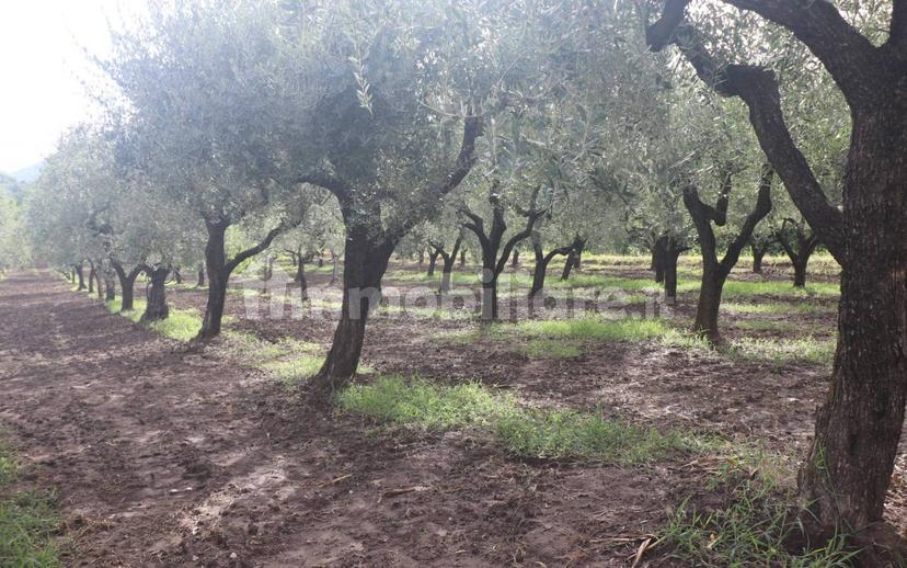 Terratetto plurifamiliare 270 m², buono stato, Melizzano — foto 13 di 30