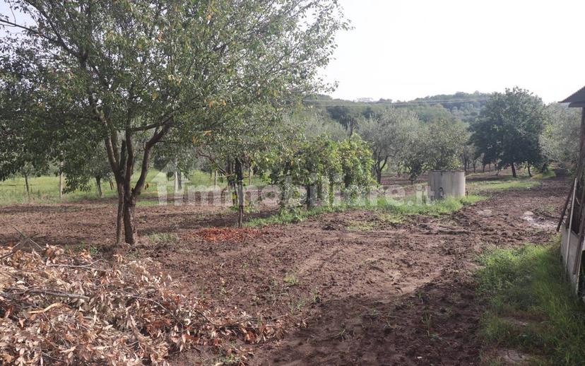 Terratetto plurifamiliare 270 m², buono stato, Melizzano — foto 20 di 30