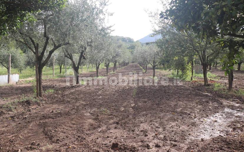 Terratetto plurifamiliare 270 m², buono stato, Melizzano — foto 21 di 30