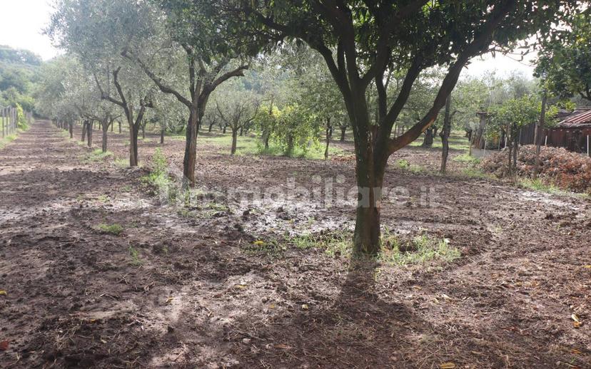 Terratetto plurifamiliare 270 m², buono stato, Melizzano — foto 17 di 30