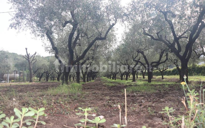 Terratetto plurifamiliare 270 m², buono stato, Melizzano — foto 4 di 30