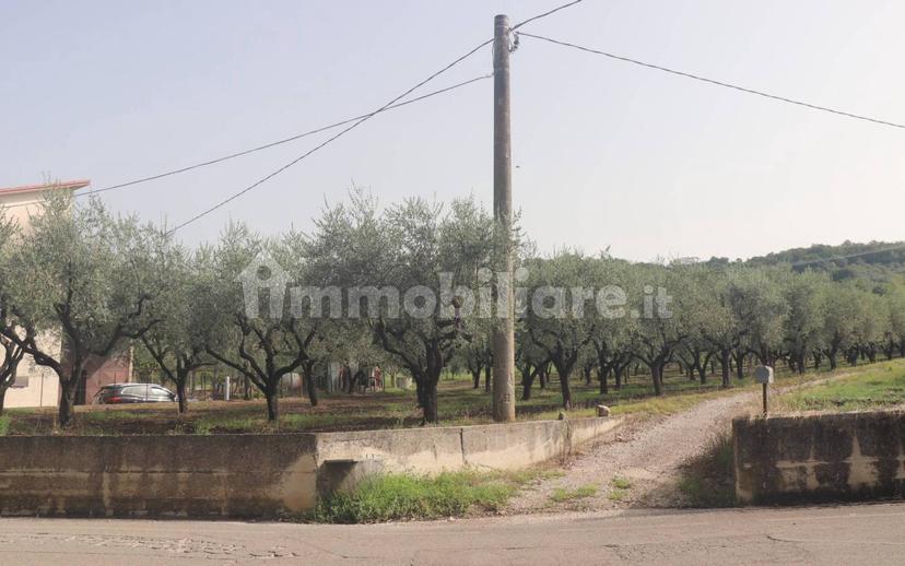 Terratetto plurifamiliare 270 m², buono stato, Melizzano — foto 29 di 30