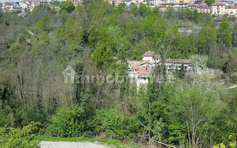 Cascina Strada Preosa, Carrù — foto 49 di 59