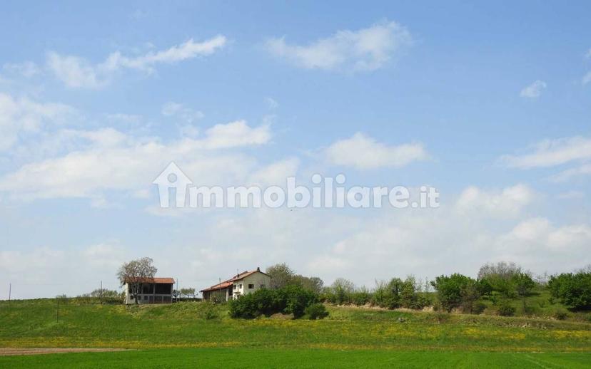 Cascina Strada Preosa, Carrù — foto 14 di 59