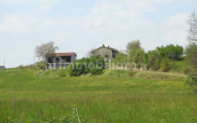 Cascina Strada Preosa, Carrù — foto 27 di 59