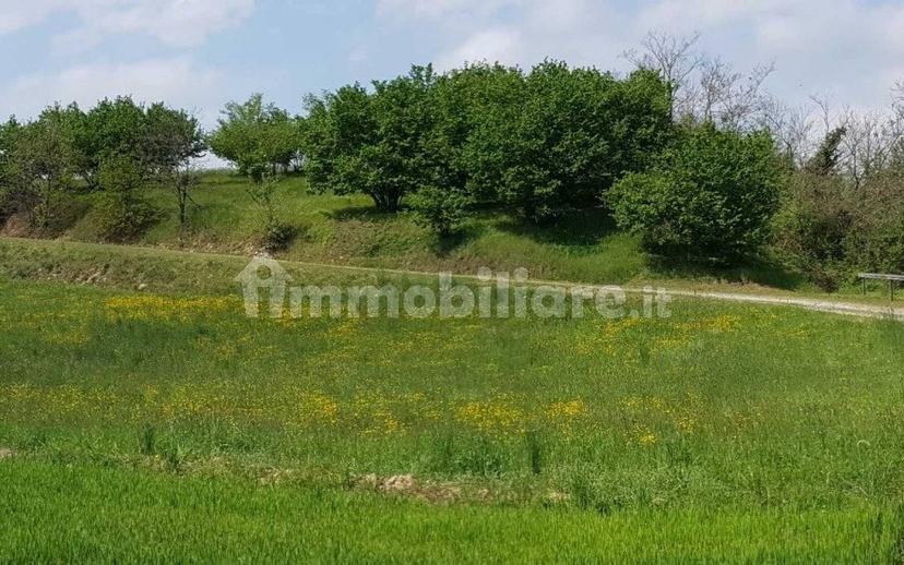 Cascina Strada Preosa, Carrù — foto 11 di 59