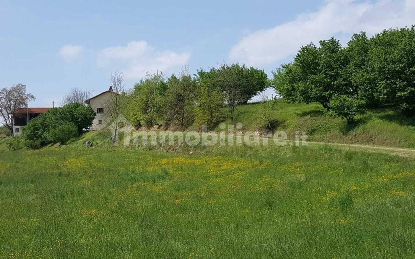 Cascina Strada Preosa, Carrù — foto 52 di 59