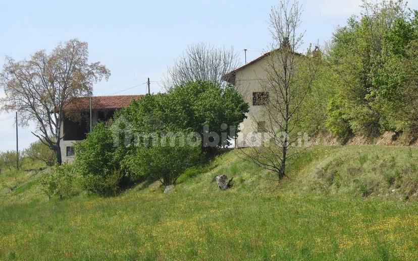 Cascina Strada Preosa, Carrù — foto 25 di 59