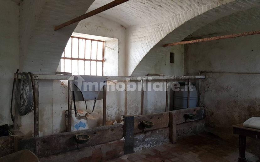Cascina Strada Preosa, Carrù — foto 30 di 59