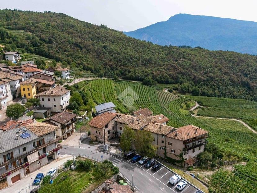 Rustico via Borgo 1, Savignano, Pomarolo — foto 3 di 35