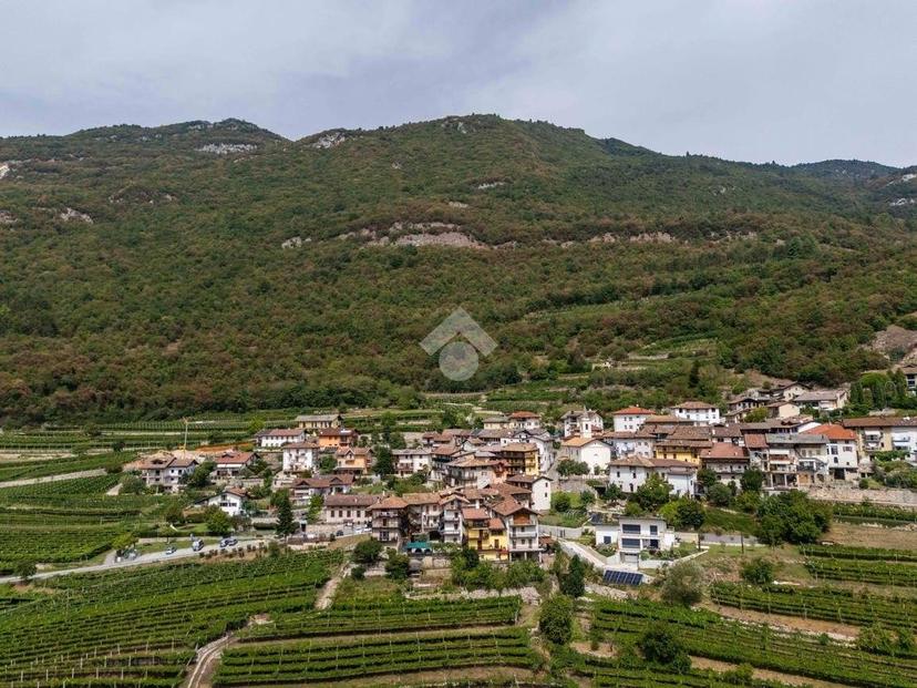 Rustico via Borgo 1, Savignano, Pomarolo — foto 11 di 35