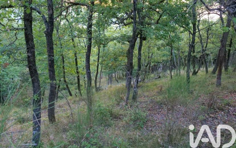 Villa unifamiliare Strada provinciale, Radicondoli — foto 25 di 26