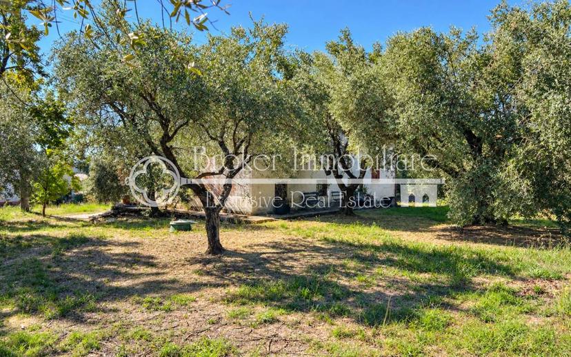 Villa unifamiliare Località Cantini, Marginone, Altopascio — foto 18 di 32