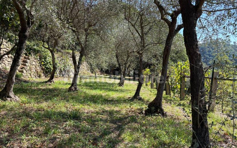 Appartamento via Antonio Giuseppe Norero 111, San Colombano Certenoli — foto 40 di 43